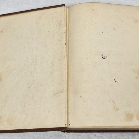 1881 Antique German Poet Hans Sachs Biography | Fatherland Series Vol 3 - Picture 8 of 13